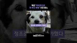 "욕도 아깝다"…박군, '비비탄으로 개 죽인 해병' 사건 분노