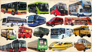 School bus, City bus, Police bus, Open top bus, Electric Bus | Learn Bus Name, Vehicle Name