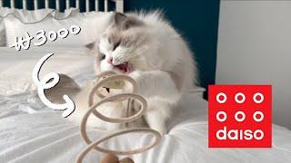 11 Cats Butler’s Reviewing Pros and Cons of Dollar Shop Cat Toys