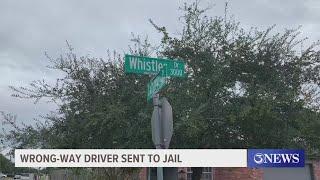 Wrong-way driver sent to jail