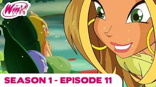 Winx Club - Season 1 Episode 11 - The Monster and the Willow - [FULL EPISODE]