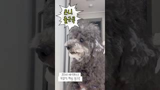 30대패션회사 #출근룩 #오피스룩 #직장인룩 #여자직장인 #코디추천 #캐쥬얼 #캐쥬얼코디