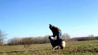 Apport training