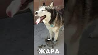 А что, если Солнце увеличится всего на 1%