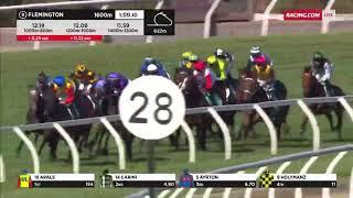 ATISHU (NZ) - 2024 Blamey Stakes (3YO+ G2) Group 2 Flemington 2 March