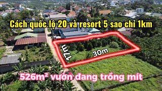 Đất biệt thự Bảo Lộc | 526m² hẻm Lê Lợi - cách quốc lộ 1km - #bdsbaoloc