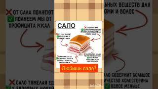 Любишь сало? #successtogether #successsiberia #еда