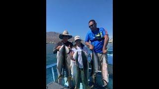 Limits of Yellowtail! Cedros Sportfishing Day 1!  July 6th-11th