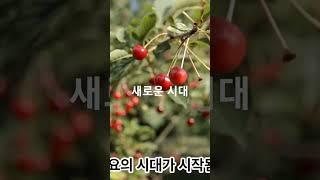사주디자인연구소. 새로운 시대