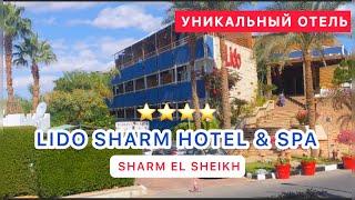 УНИКАЛЬНЫЙ ОТЕЛЬ В ШАРМЕ ‼️СВЕЖИЙ ОБЗОР LIDO SHARM  Hotel & Spa 4* /