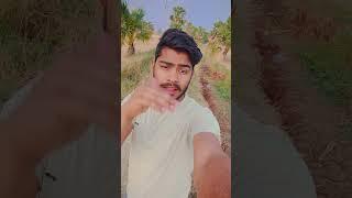 Jab Se Tumhen Maine Dekha Sanam #song #bollywood #hindisong #love @Nikeshmouryavlog