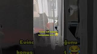 Evinde kedi olduğunu konuşmadan anlat 