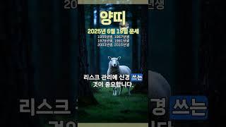 [2025년 6월 19일 양띠 오늘의운세] 이기고 있을 때 더 앞서나가도록 노력해야 한다. #양띠 #운세 #오늘의운세 #토정비결