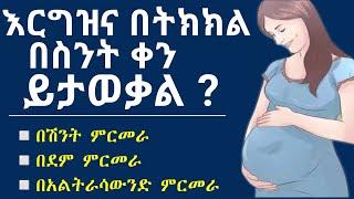 እርግዝና በትክክል በስንት ቀን ይታወቃል ?