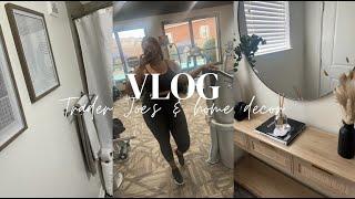 VLOG | Trader Joes haul + Texas Ice storm + home decor