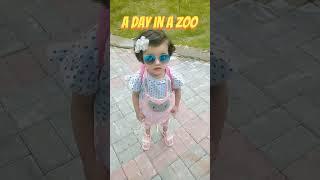 enjoy zoo ️️