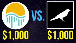 $1,000 Moonriver vs. $1,000 Kusama – Who Wins? | KSM or MOVR?