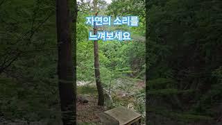 물소리를 반주삼아 새가 노래하는 이곳은 양양 꿈꾸는계곡패션 입니다. #양양여행 #팬션#캠핑장#어성전계곡#힐링맛집