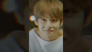 tae tae baby bear #bts #v#army
