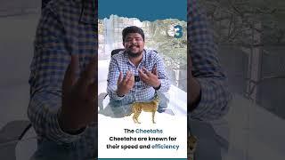 4 Types of Customers / Buyers for Your Business