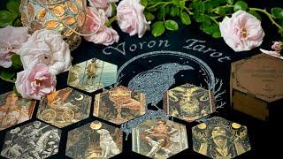 ️Шестиугольное Таро эпохи Возрождения The RENFISSFINCE HEXAGON Tarot #таро  #tarot #tarotcards