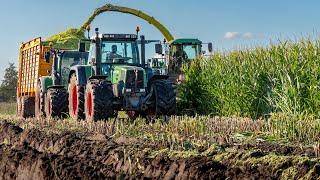 Maize 2024 / Mud / John Deere 6750 / Molenaar + Van Velthuizen / Corn silage harvest