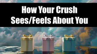 How Your Crush Sees/Feels About You | Pick A Card Timeless Psychic Reading