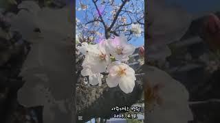 봄봄봄Ⅰ