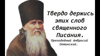 Не надейся и не ищи безоблачной и спокойной жизни. Преподобный Амвросий Оптинский.