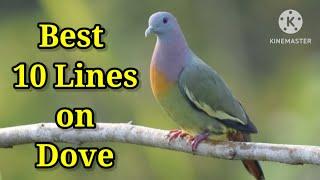 Dove/10 Lines on Dove in English/Essay on Dove/Few Lines on Dove/Paragraph on Dove/#dovebird