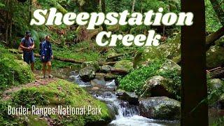 A gem in Northern NSW Border Ranges | Relaxing campsite and rainforest creek