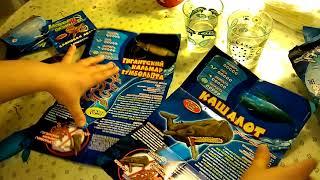Морские гиганты и Ко макси
