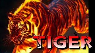 Claw Your Way to Mastery: Tiger Kung Fu Tutorial"