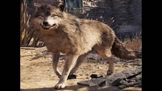 Wolf (assassin's creed odyssey) Sounds