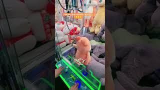 'Win every time' with this secret claw machine hack! #clawmachinetips #clawmachine #arcade