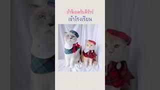 ถ้าชิเอลกับคิรัวร์เข้าโรงเรียนจะเป็นยังไง | ชิเอลแมวมึน