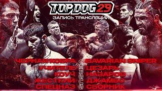 Russian Bare Knuckle | Black Cobra VS Bavarian Sniper, Uchitel' VS Caesar | TOP DOG 29