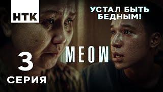 Стыдно быть дешевым, сынок! | MEOW - 3 серия [4K]