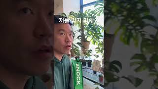 제가 키운식물을 보세요.식물은 거짓말 안합니다.-알보의 왕 노크- #몬스테라알보 #plants #monsteraalbo #알보의왕 #노크흙