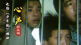经典回顾！电影《少年犯》插曲《心声》，震撼心灵，催人泪下！【岭枫音乐】