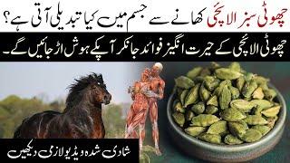 Amazing Benefits of Green Cardamom | Sabz Elaichi ke Fayde | Islamic Teacher Official