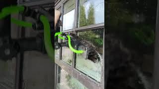 Toronto Window Cleaning with a Water Fed Pole | Silverlight Windows and Eaves Cleaning Toronto