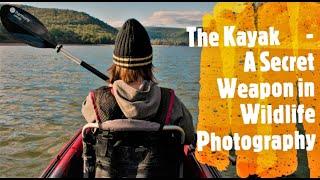 The Kayak - My Secret Weapon in Wildlife Photography