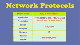 Network Protocols