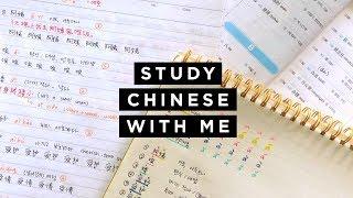 跟南非人一起学习中文 Wie ich chinesiche Vokabeln lerne  #StudyWithMe