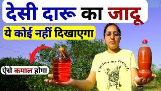 वाह खेती में देसी दारू का कमाल | fhasal me daru ka spray | Desi Daru Spray | PGR PGP tonic | kheti