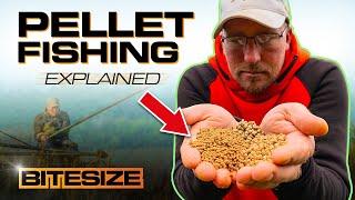 Pellet Fishing For F1's & Carp with Andy Bennett | Guru Bitesize #039