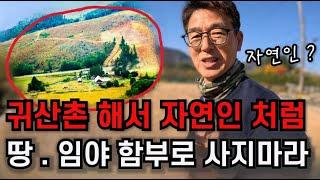 자연인처럼 살고 싶다고 ?  땅 . 임야 함부로 사지 마세요 !