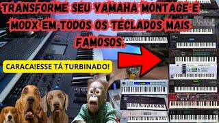 YAMAHA MONTAGE E MODX MAIS TURBINADO DO MUNDO! CONTATO NA DESCRIÇÃO! SELEÇÃO DE OURO DOS EPS. #tecla