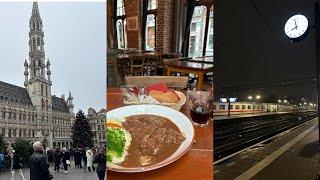  Traveling from Netherlands to Belgium by Train | 1 Night 2 Days Brussels Trip (1)